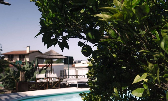 Assafora Appartement | 2 Bedroom Traditional Apartment, Garden View