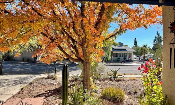 Sam Hughes Maison | ** 2 Blocks to UA, Historic House With Spa! **