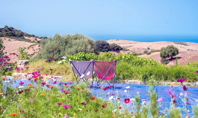 Douar Dmina Maison | Domaine de 2 hect., 25 pers, 12 chambres, vue MER, piscine, cuisinière & ménage