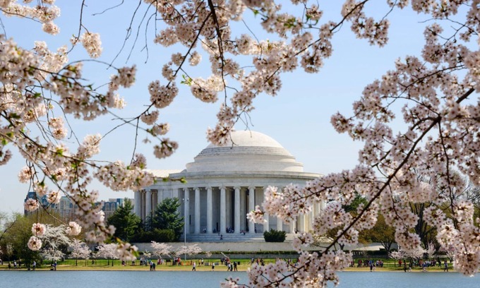 Capitol Hill Hôtel | 2 Perfect Suites w/Kitchen | Vibrant Dining & Historic Attractions Nearby