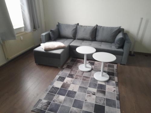 Zwickau Appartement | 2 Raum Wohnung in der Nähe des August Horch Museum
