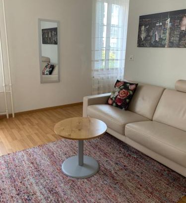 Winterthur Appartement | 2 Zimmer Appartement mit eigenem Bad und Küche