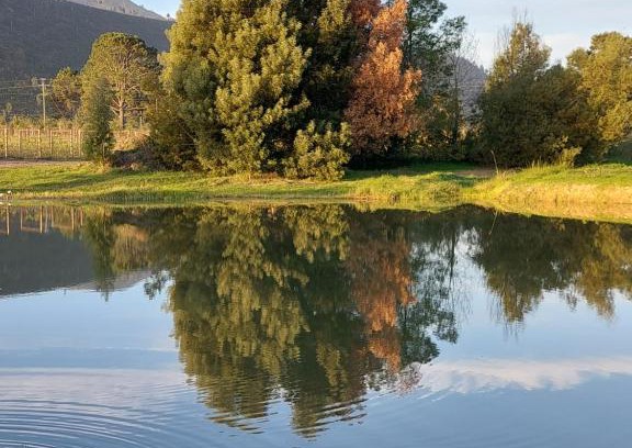 Bitou Appartement | 20 Good Summers Farm Stay