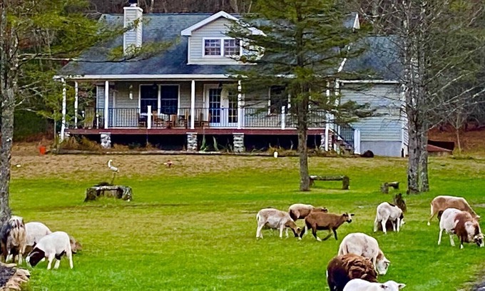 Lehighton Autre | 22 ACRE FARMHOUSE WITH PARK LIKE SETTINGS