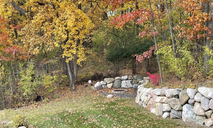 Clarkston Maison | 2BR Family-Sized Lower Suite with Private Entrance & Big Backyard. Pet-Friendly!