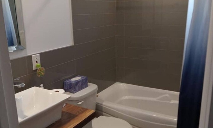 Les Rivieres Appartement | 3,5 rénove avec cour anglaise