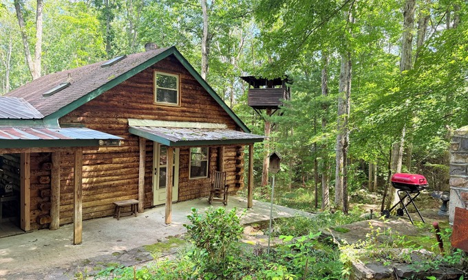 Craig Creek Cabine | 3 BR Log Cabin & 14 acres of private forest; short drive from New Castle and AT