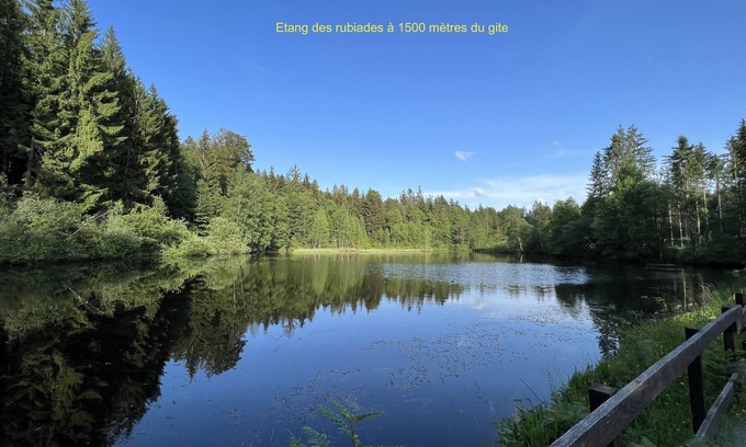 Cleurie Appartement | Gite 3 personnes lisière de forêt à proximité sentiers de randonnées