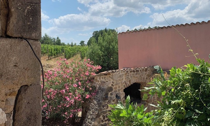 Rosieres Maison | ECOGITE 3 étoiles 8/10Pers AU COEUR DES VIGNES