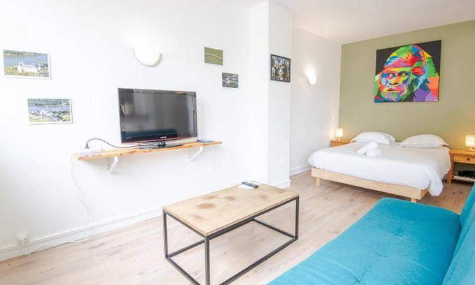 Saint-Cyr-sur-Loire Appartement | 30 m² Appartement ∙ 1 chambre ∙ 2 personnes