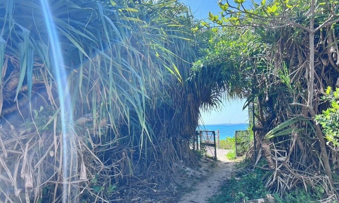 Kin Maison | 30 sec walk to the sea15 min drive to the resort/Kunigamigun Okinawa
