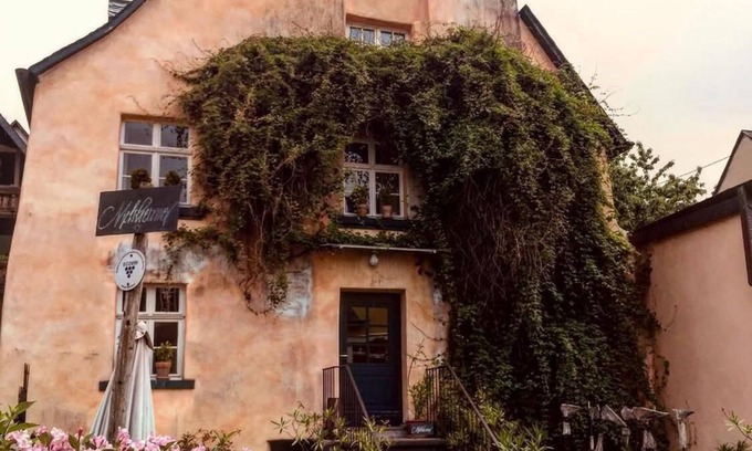 Reil Autre | 300 Jahre altes Ferienhaus am Bio-Weingut an der Mosel