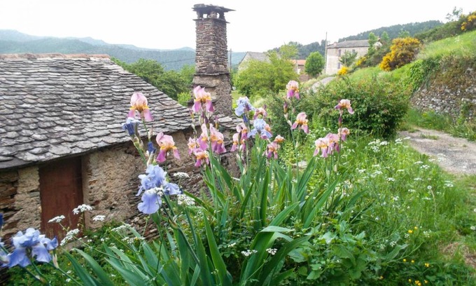 Navas Maison | 38 m² Gîte ∙ 4 personnes