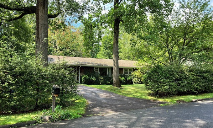 Williamsport Maison | 4 bed 2 bath Mid century modern in Vallamont, 10 mins from Lamade Stadium.