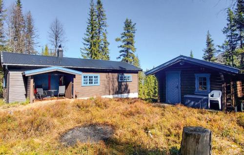 Nore og Uvdal Maison | 4 Bedroom Amazing Home In Rødberg