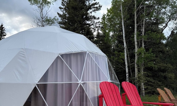 Hinton Cabine | #4 Dome - Jasper Gateway Glamping