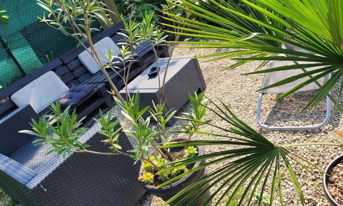 Vrable Appartement | 47 m² Appartement ∙ 1 chambre ∙ 4 personnes