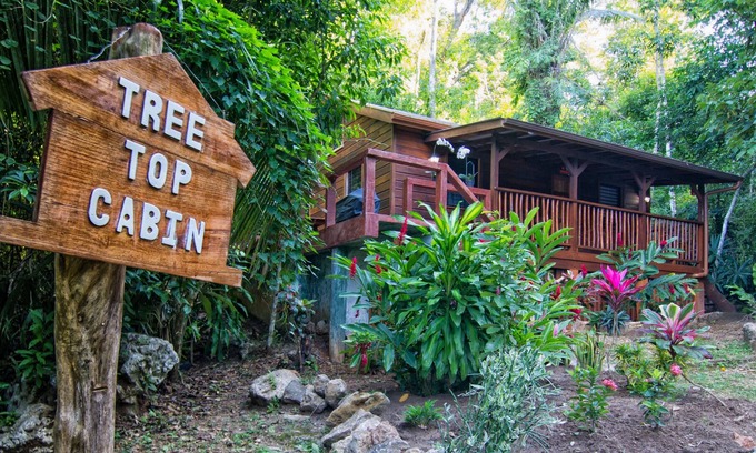 Macaw Bank Cabine | 49 $ - 74 $ la nuit! Une chambre Belize Location de vacances dans la forêt tropicale