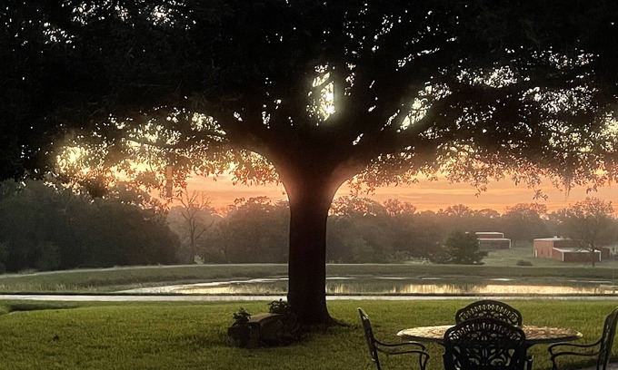 New Ulm Autre | 5-star property 1 hr W of Katy, 30 min to Round Top, near The Vine Wedding Venue