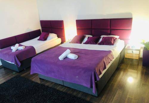 Nowy Sacz Appartement | 50 m² Appartement ∙ 2 chambres ∙ 6 personnes