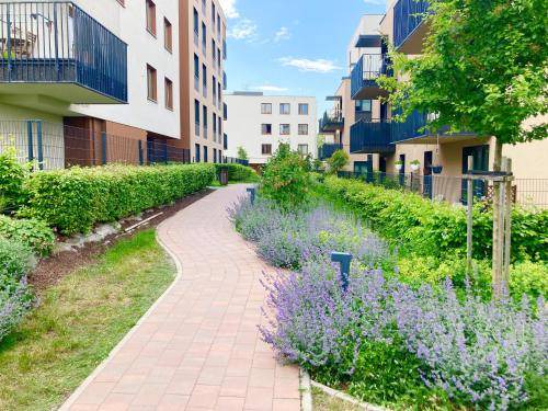 Lagiewniki Appartement | 50 m² Appartement ∙ 1 chambre ∙ 6 personnes