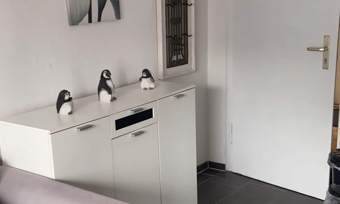 Detmold Appartement | 50sqm parking at the house wifi terrace