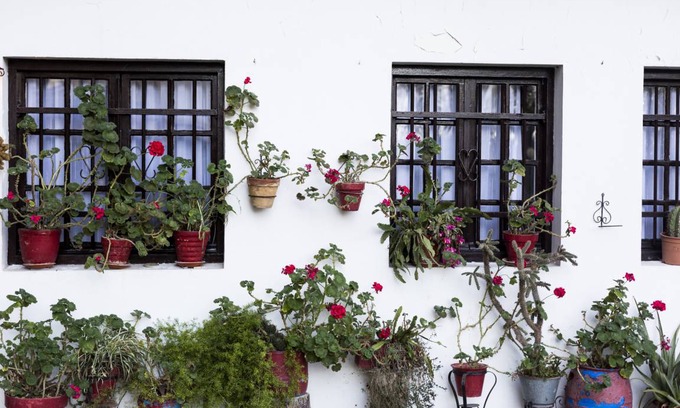 Hondarribia Historic Center Appartement | 55 m² Appartement ∙ 2 chambres ∙ 4 personnes