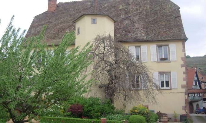 Andlau Appartement | 55 m² Appartement ∙ 1 chambre ∙ 3 personnes