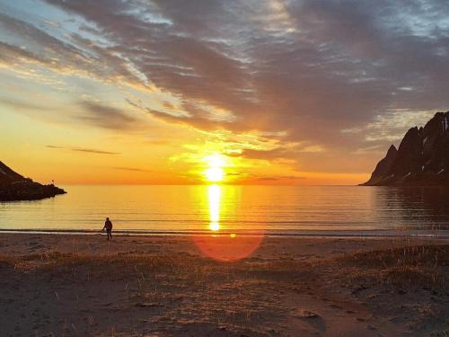 Mefjordvær Maison | 6 person holiday home in Senjahopen-By Traum