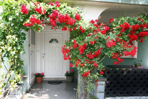 Secovlje Appartement | 60 m² Appartement ∙ 2 chambres ∙ 6 personnes
