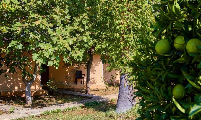 Adrasan Maison | 7 Garden Bungalow & Camping