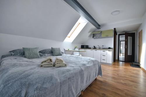 Lublin Appartement | 77 Krasnicka