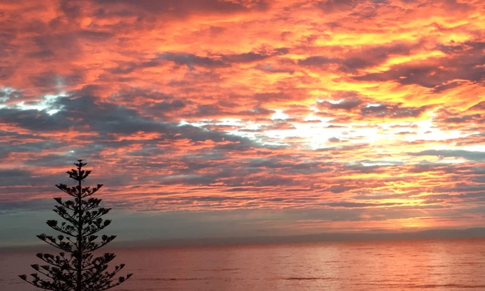 Westshore Appartement | ' 79' MIN STAY 1 MONTH Napier Westshore BEACHFRONT APARTMENT.