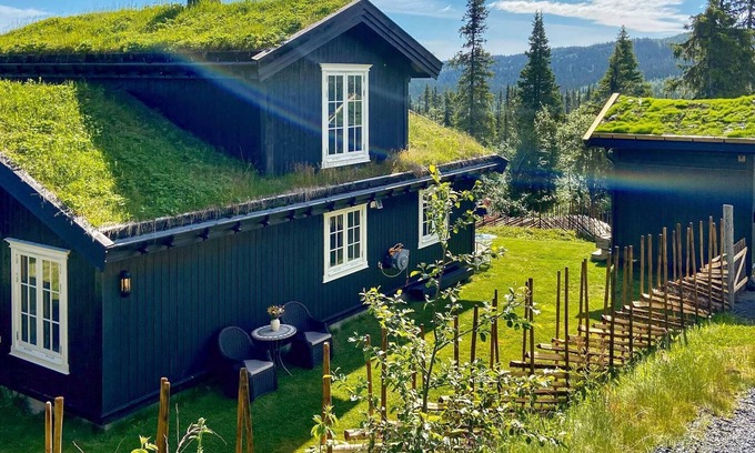 Sor-Aurdal Maison | 8 person holiday home in Reinli