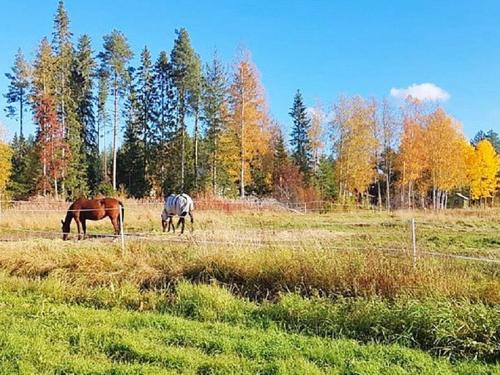 Burea Maison | 8 person holiday home in Bureå-By Traum