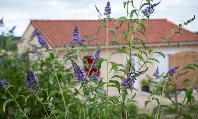 Fossemagne Maison | 80 m² Gîte ∙ 2 chambres ∙ 4 personnes