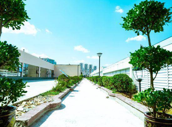 Zhenxiong County Hôtel | 80 m² Hôtel ∙ 3 personnes