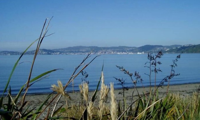 Petone Hôtel | 83 By the Sea Motor Lodge