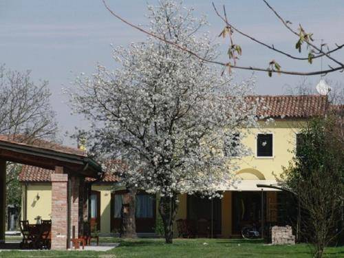 Oriago Appartement | 90 m² Appartement ∙ 2 chambres ∙ 8 personnes