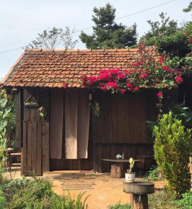 Di Linh Chalet De Ski | A Ơi Di Linh homestay