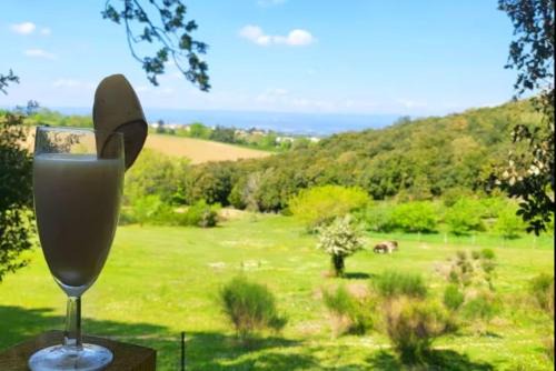 Alairac Appartement | A 10 min de la cité Médiévale de Carcassonne
