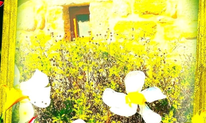 Mondariz Cottage | A CASA DEL BOSQUE DEL AGUA+PASE A SPA PREXIGUEIRO GRATIS A PARTIR DE 01.09.2025