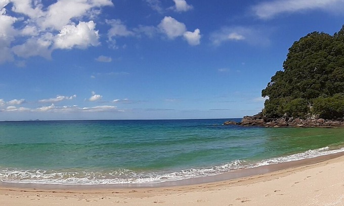 Onemana Appartement | Escapade en couple et lieu de vacances à la plage pour animaux de compagnie
