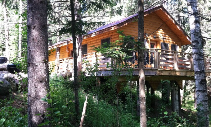 Shevlin Cabine | Une cabane confortable dans les bois, de nombreux sentiers et un petit lac