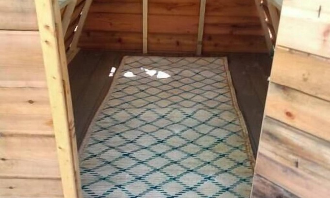 Cass City Cabine | A Frame Bunkie