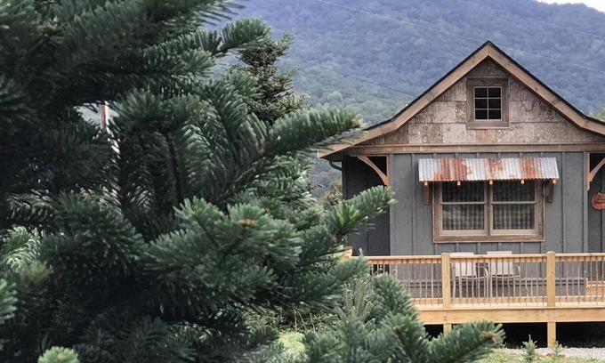 Waynesville Cabine | Une cabane faite à la main construite au milieu d'une ferme d'arbres de Noël.