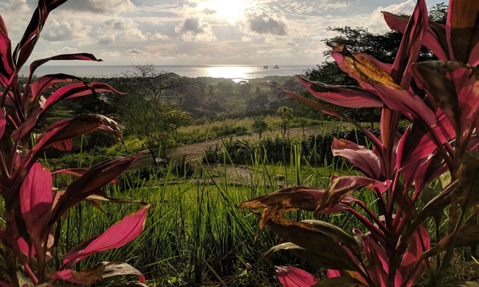 Las Tunas Maison | Une oasis de jungle à flanc de colline avec une vue panoramique imprenable sur l'océan Pacifique!
