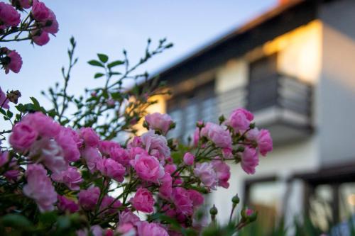 Koprivnica Maison | A house, free parking, sauna
