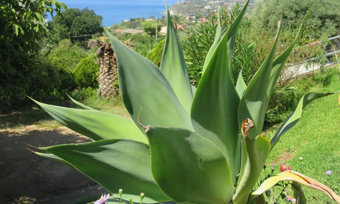 Joppolo Maison | Maison indépendante au calme, près de la plage avec magnifique vue sur la mer
