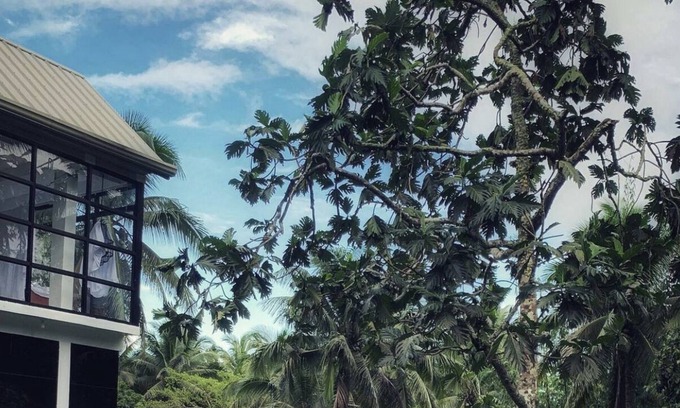 Tayabas City Maison | A House Lucban
